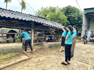 HỘI LIÊN HIỆP PHỤ NỮ XÃ NGHĨA MỸ PHÁT HUY VAI TRÒ ỦY THÁC NGUỒN VỐN NGÂN HÀNG CHÍNH SÁCH